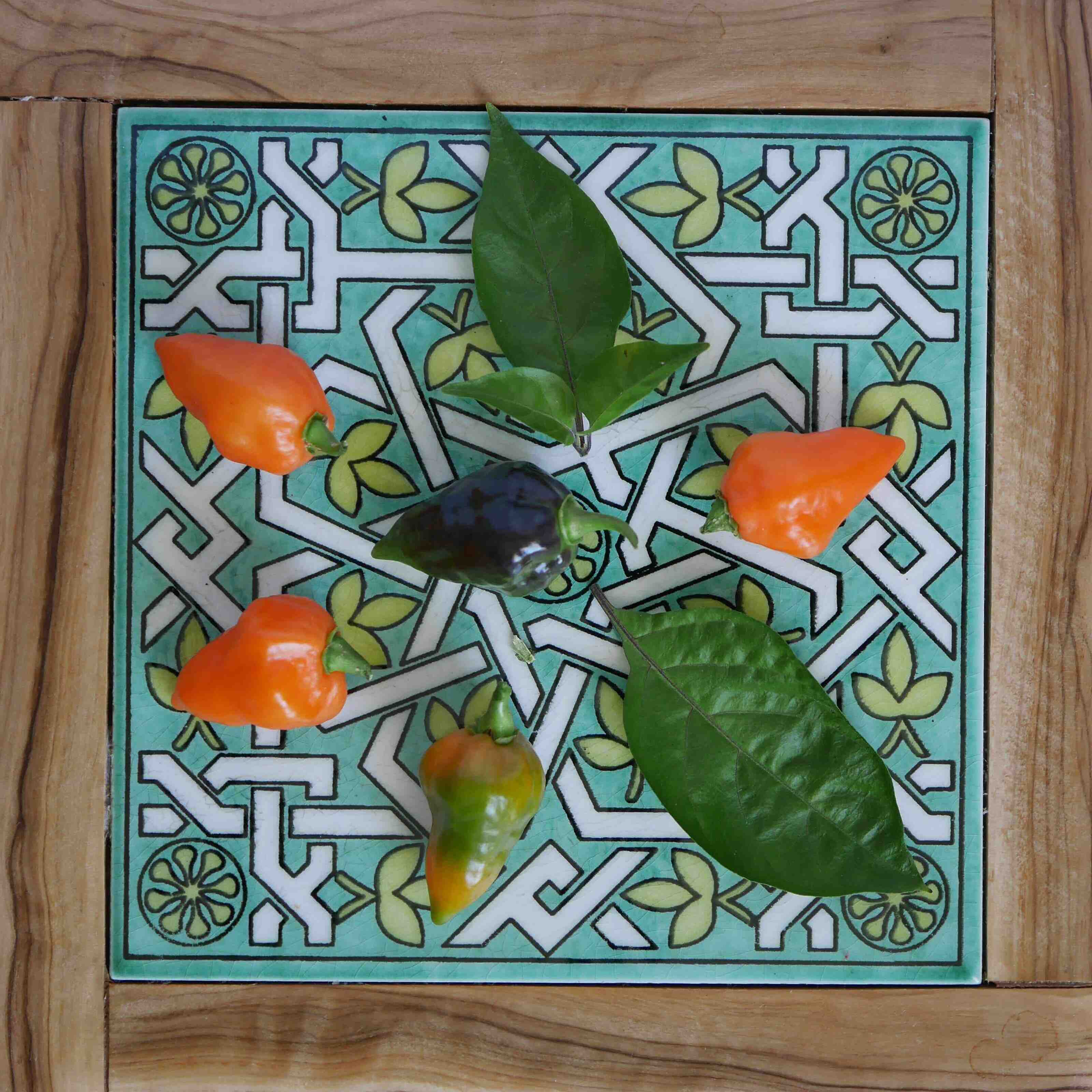 Orange lanterns